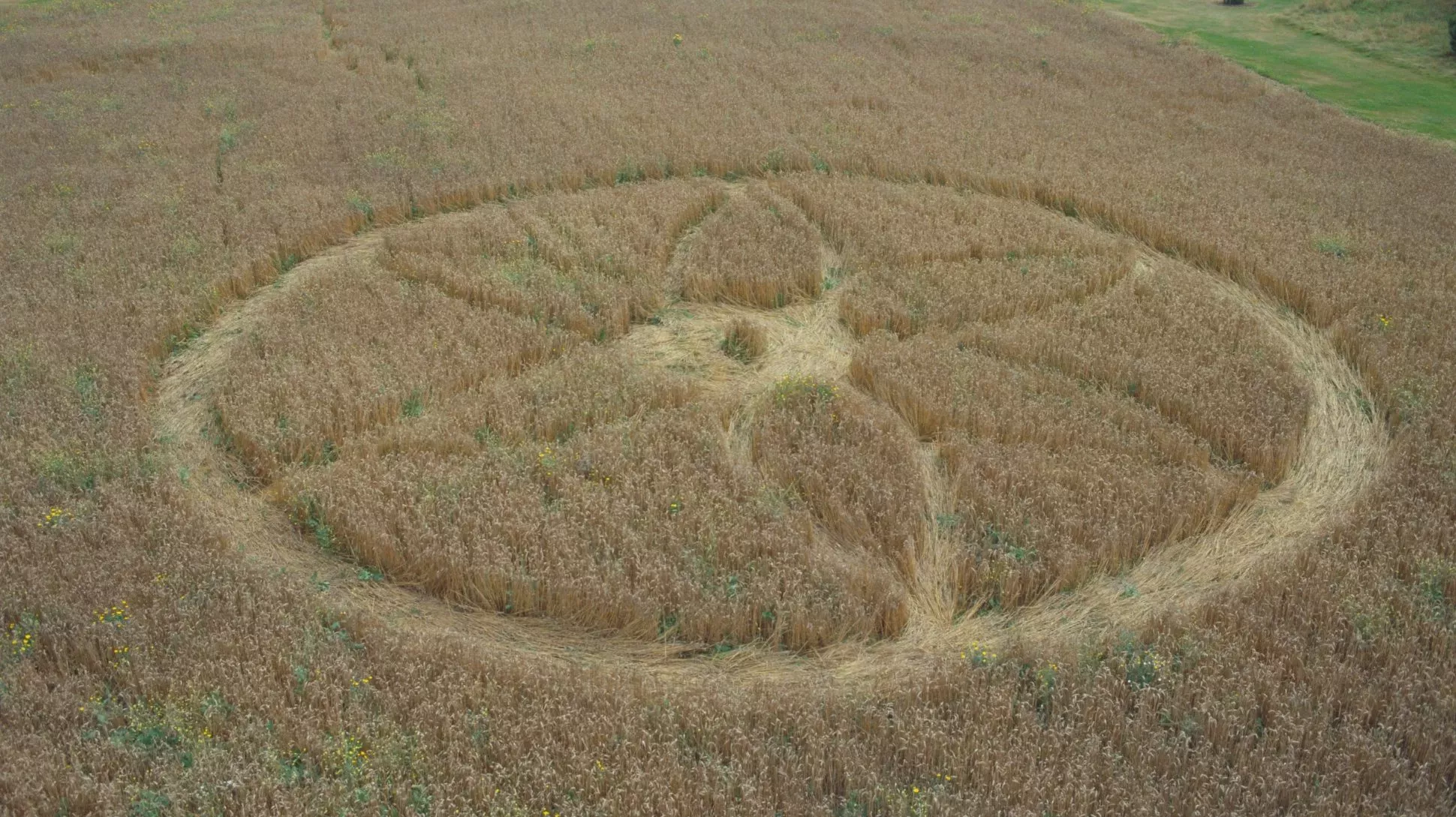 The crop circle that appeared in 2002 at Kew Gardens, Andrew McRobb © RBG Kew A floral crop circle in a wheat field at Kew Gardens
