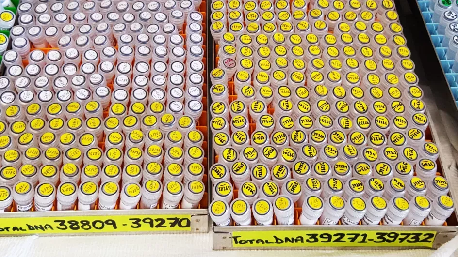 DNA bank collection © RBG Kew