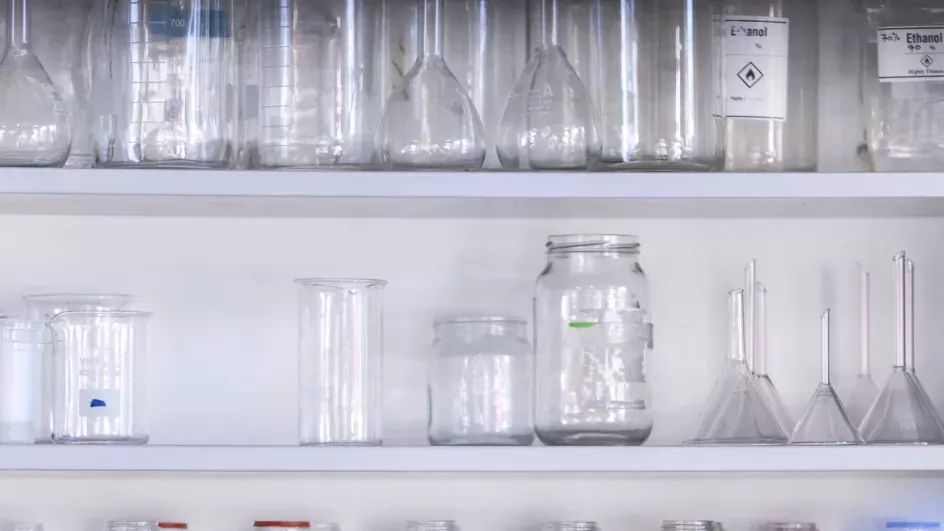 Flasks in the Jodrell lab © RBG Kew.