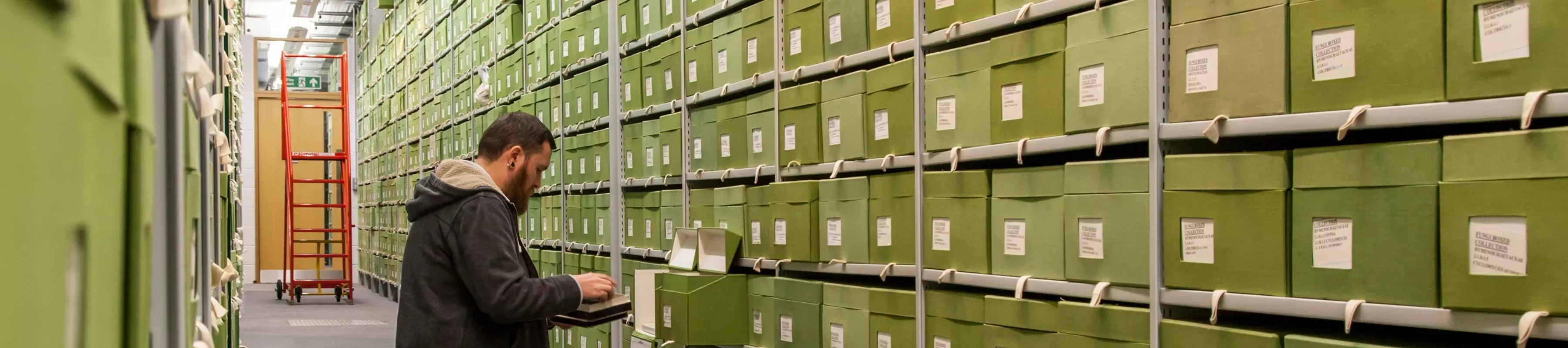 Kew's Fungarium, Steve Lancefield © RBG Kew A researcher looking in a green box on a shelf full of green boxes