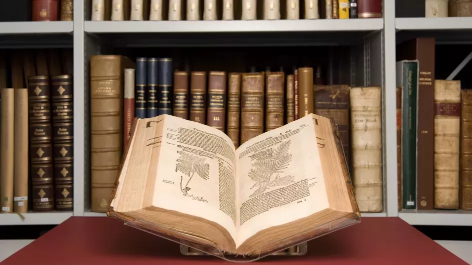 Book from Kew’s Library and Archives © RBG Kew