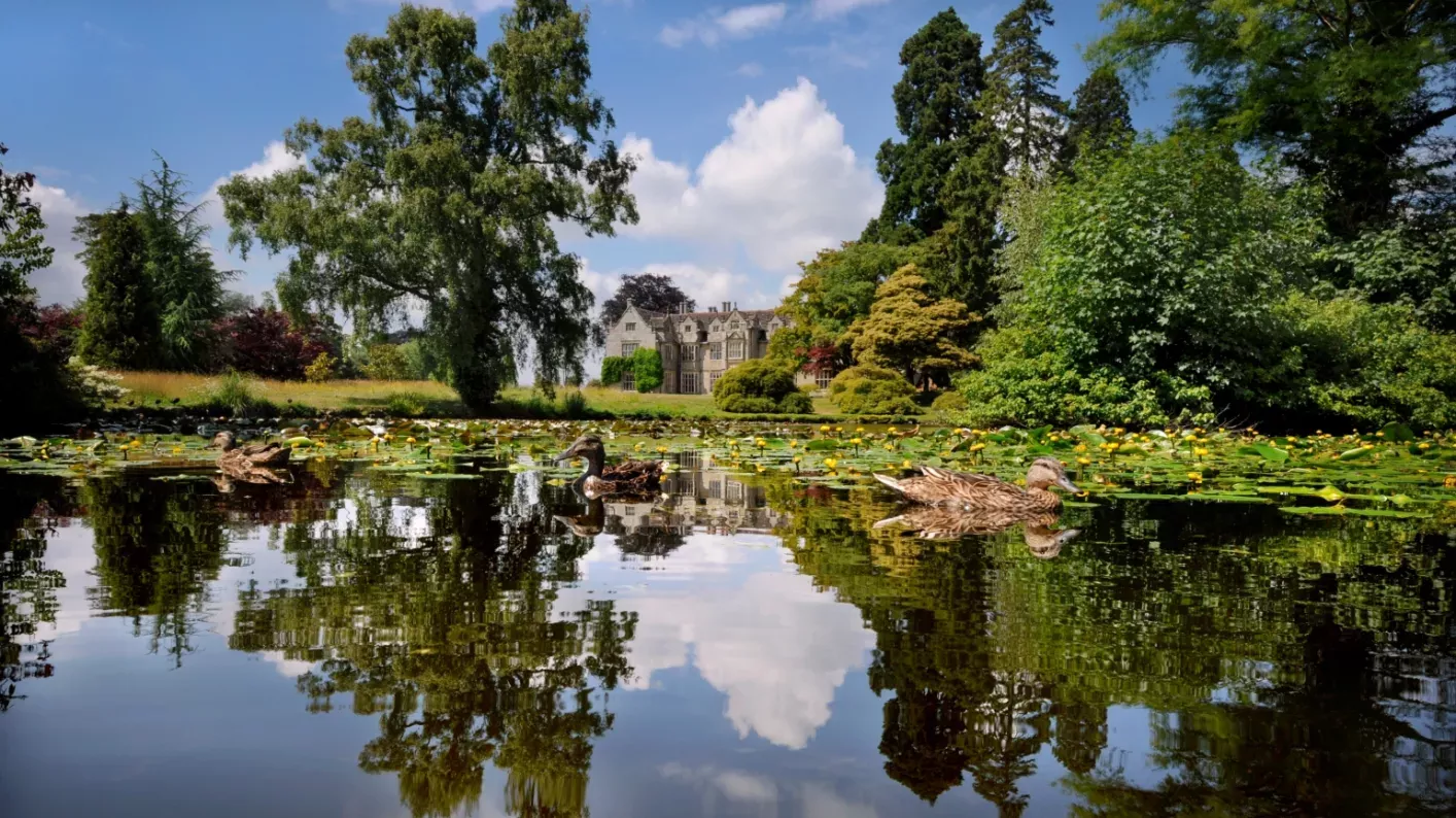 Wakehurst, Manson Pond, Image: Jim Holden