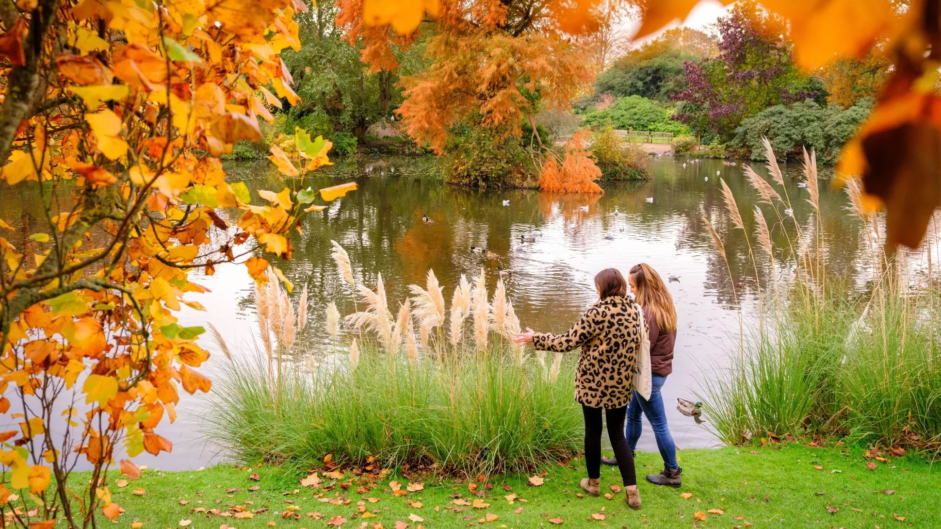 Wakehurst's Mansion Pond, Jim Holden © RBG Kew Two people stand under a golden autumnal tree next to a pond
