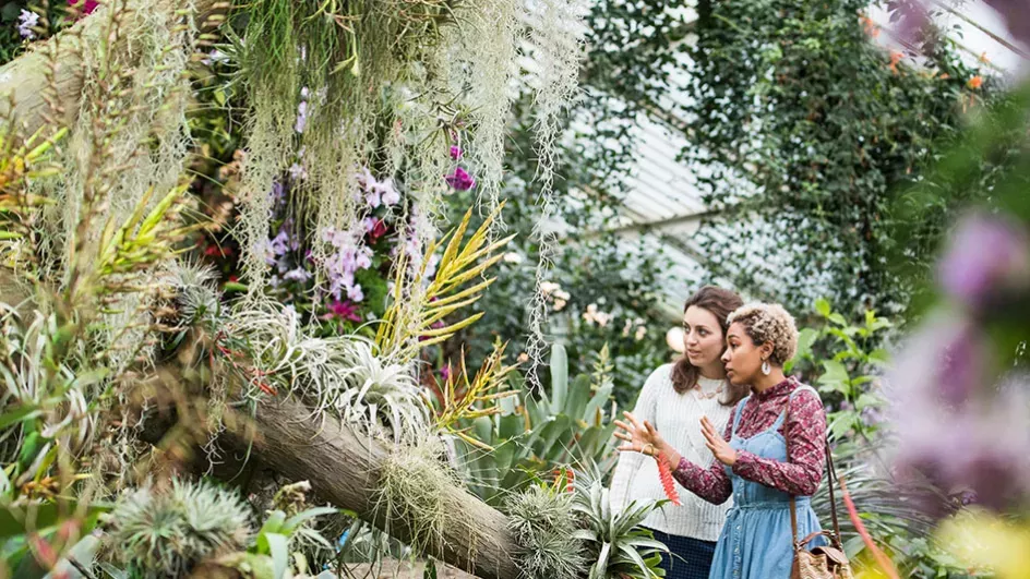 Visitors studying plants in Kew's Princess of Wales Conservatory, Charles Emerson © RBG Kew