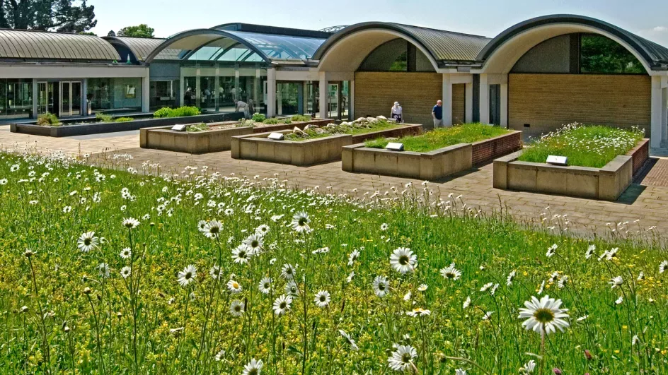 Millennium Seed Bank © RBG Kew.