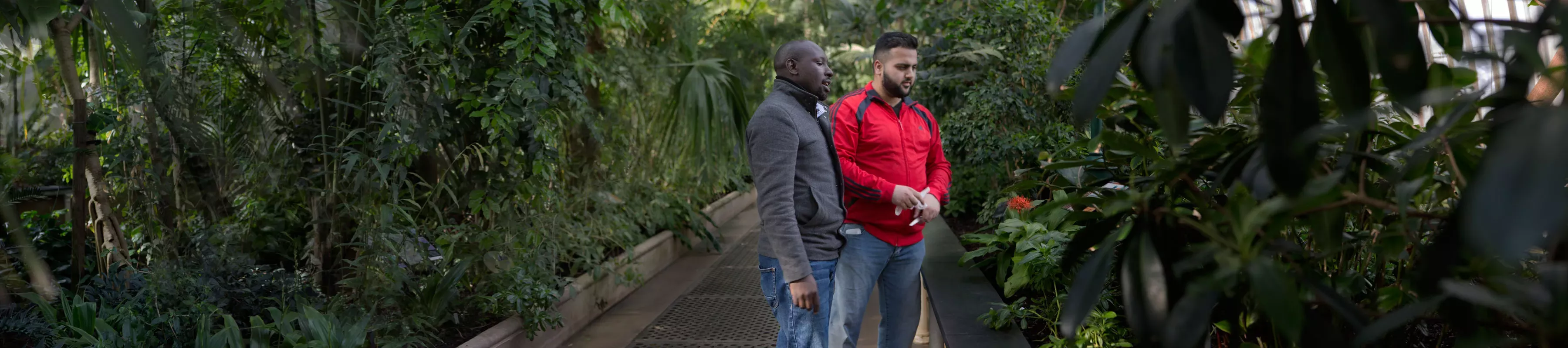 Kew Science researchers © RBG Kew. Researchers looking at plants in Kew's Palm house