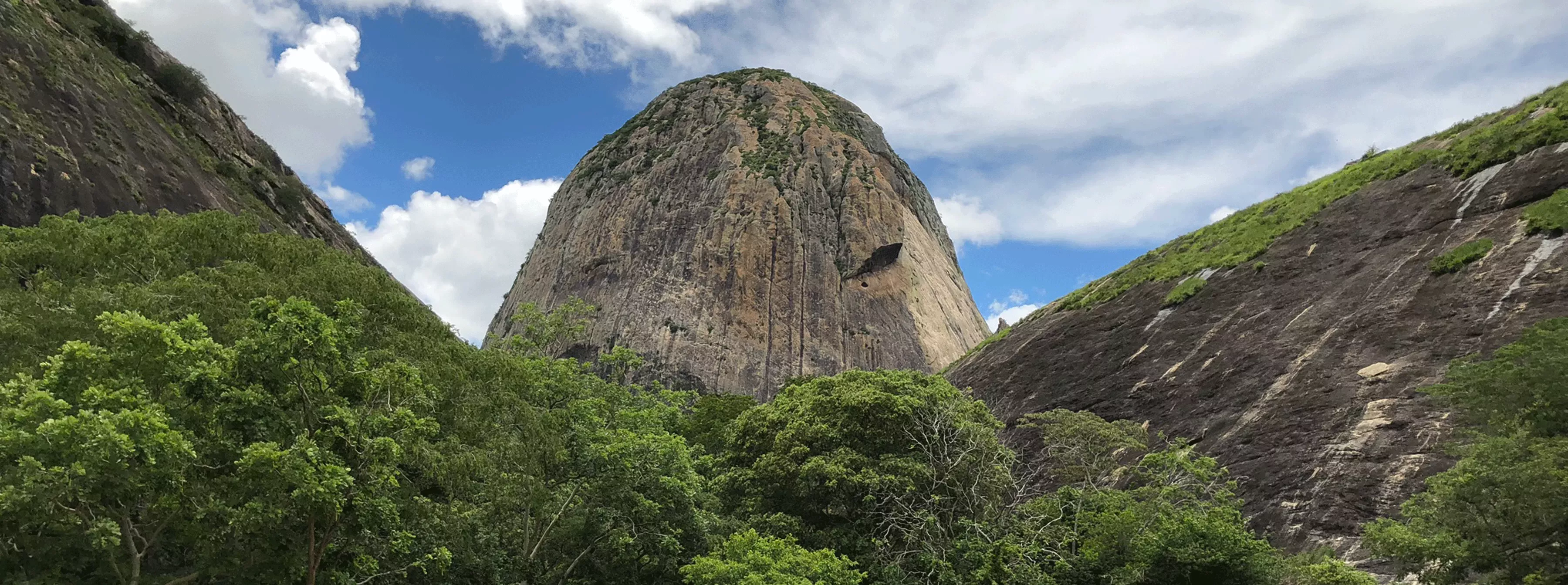 Ribaue Mountains Mozambique. (C) RBG Kew. Mountain in Mozambique