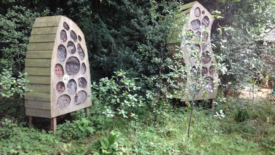 A bug hotel at Kew