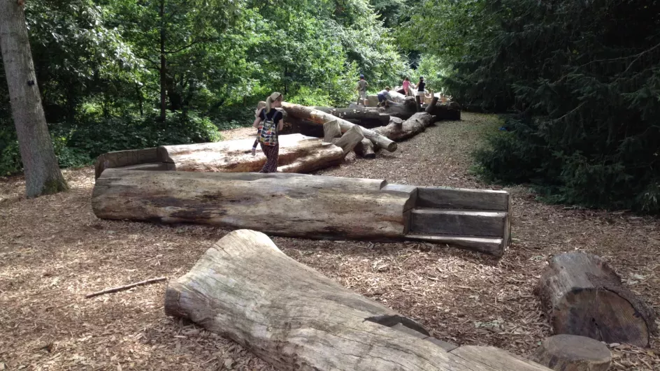 Log trail, RBG Kew
