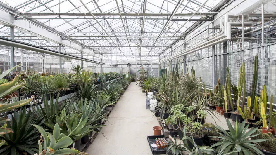 Tropical Nursery, Ellen McHale © RBG Kew