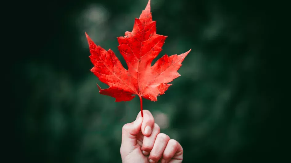 Holding a leaf in autumn/ Unsplash