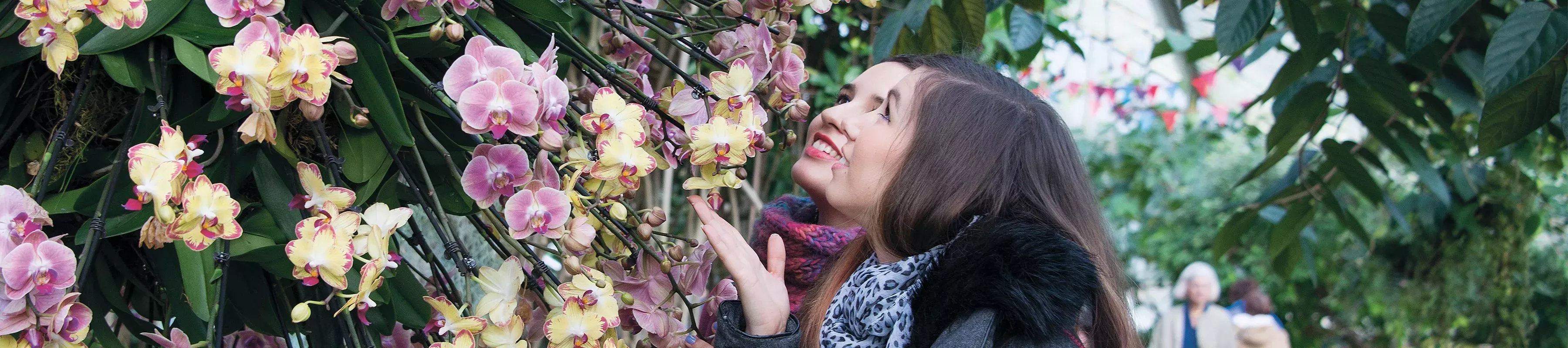 Orchids © RBG Kew Two people examine a display of beautiful orchids