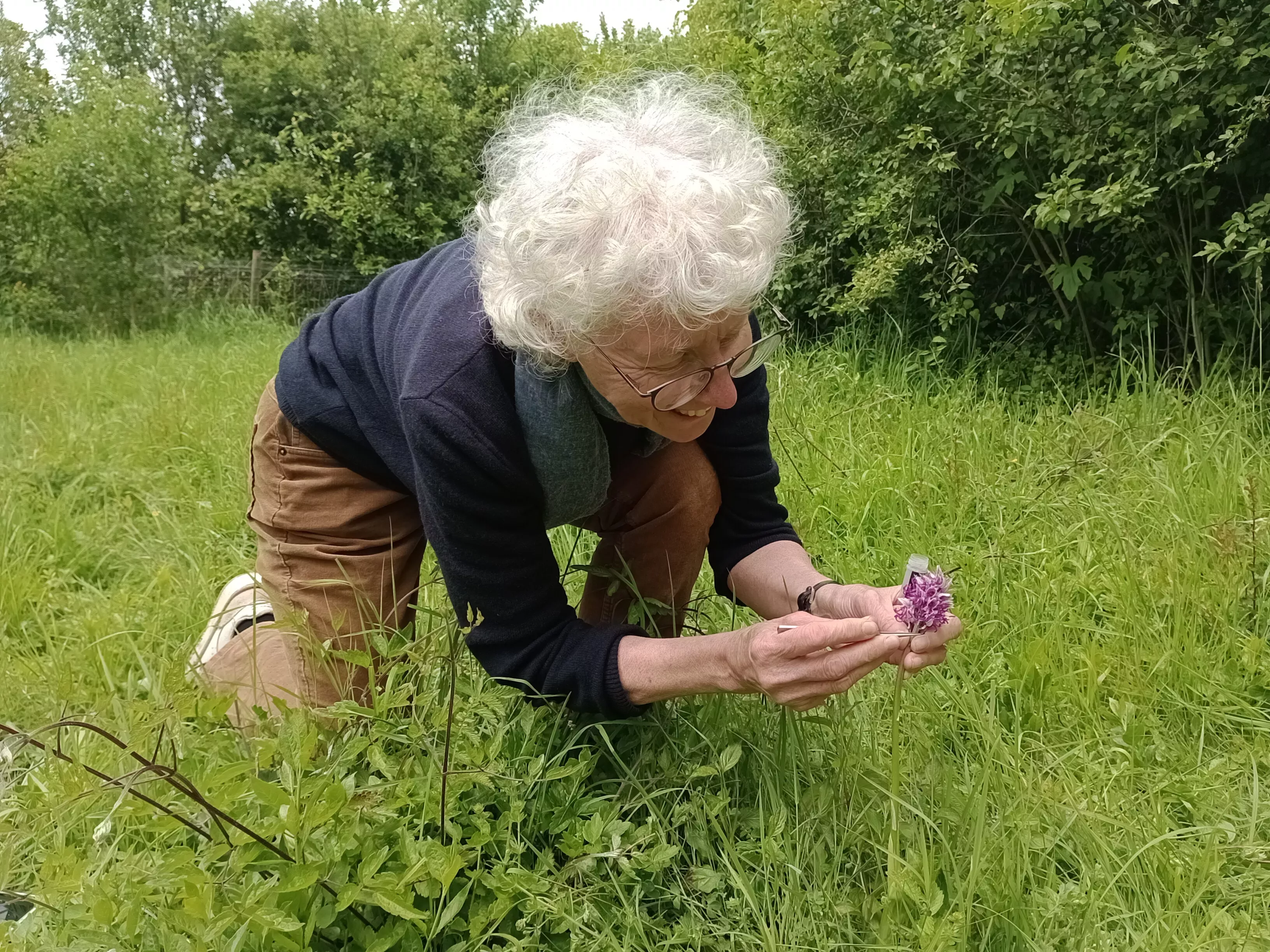 Dr Ilia Leitch collecting from a monkey orchid A woman collecting samples from a small pink orchid