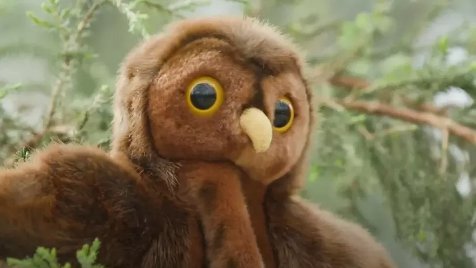 Owl, family learning song © RBG Kew