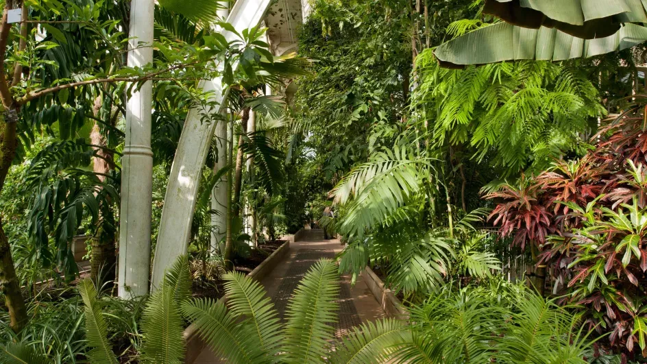 The Palm House ©RBG Kew