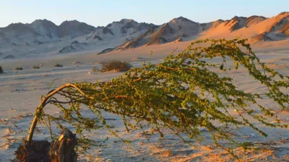 Desert in Peru at dusk