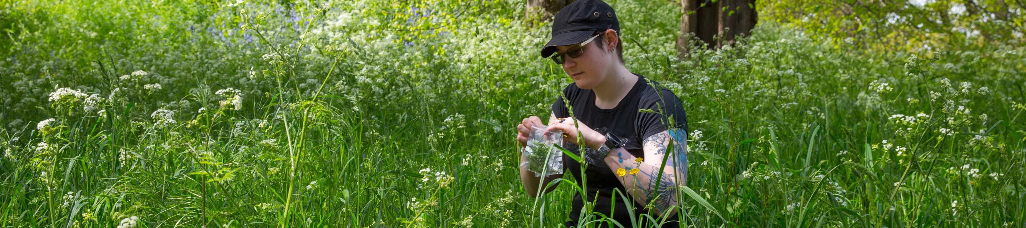 PhD student collecting plants © RBG Kew. Student sat in a green meadow holding a small bag for the plants they are collecting