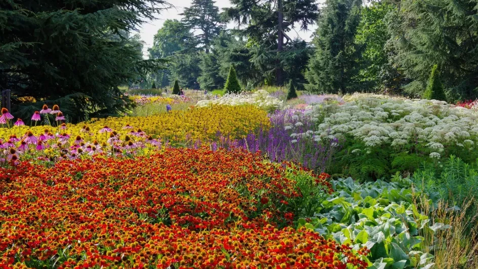 Great Broad Walk Borders, Richard Wilford © RBG Kew