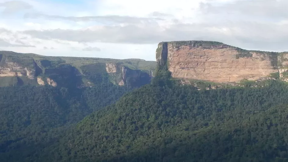 Plateau de Benna, Guinea. Credit RBG Kew/X. van der Burgt.