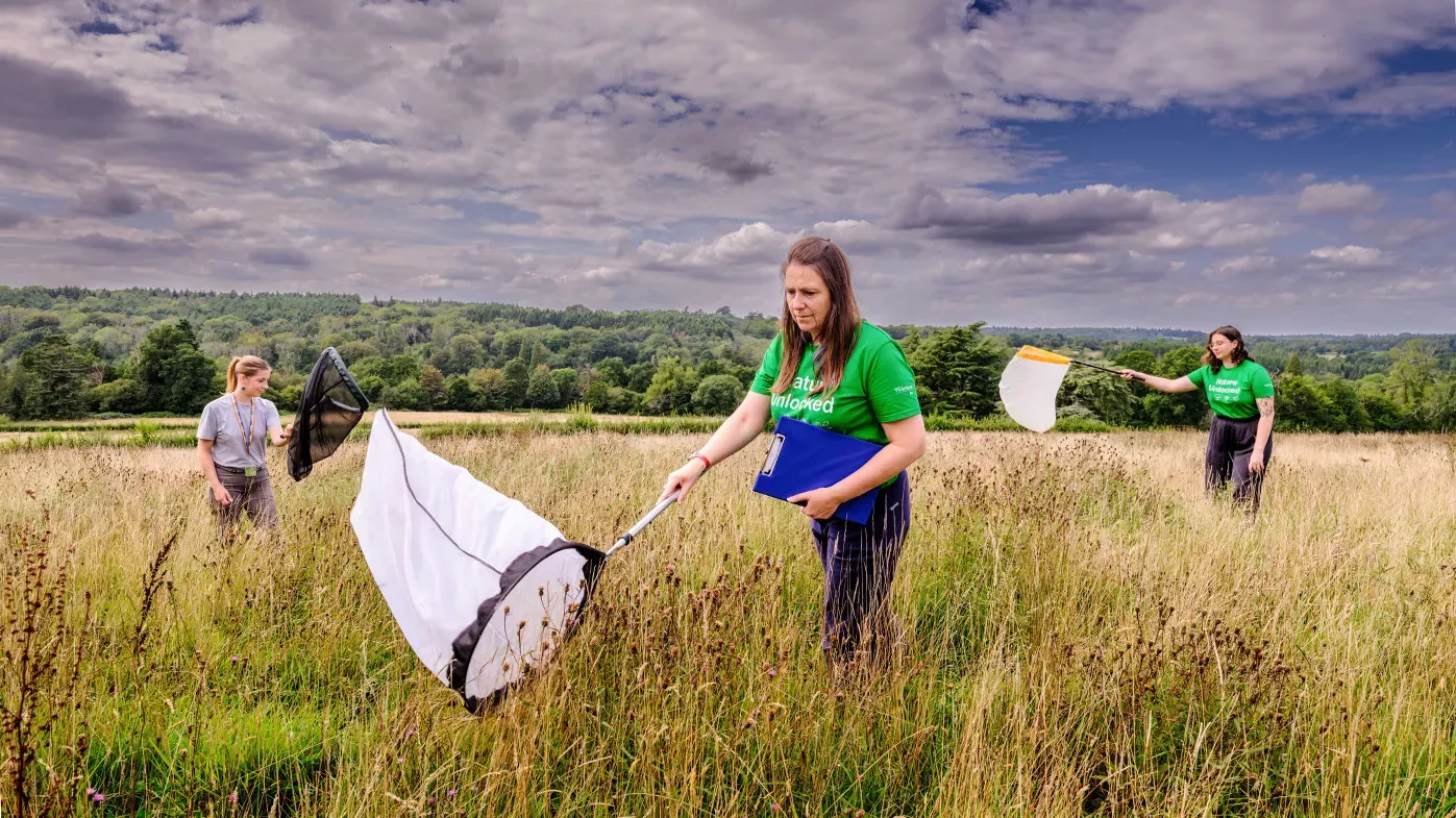 Pollination research on Coronation Meadow, Jim Holden © RBG Kew Three scientists stand in a field waving nets to catch pollinators