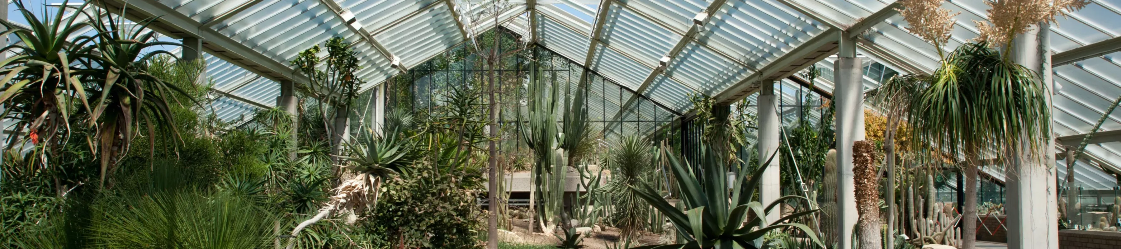 Andrew McRobb / RBG Kew View of species from the dry tropics in the Princess of Wales Conservatory