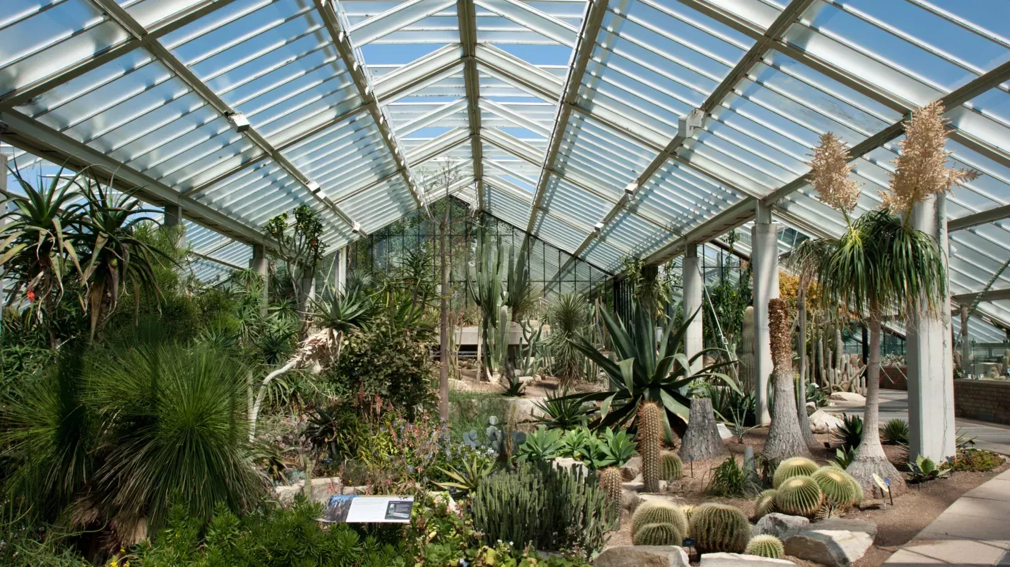 Andrew McRobb / RBG Kew
