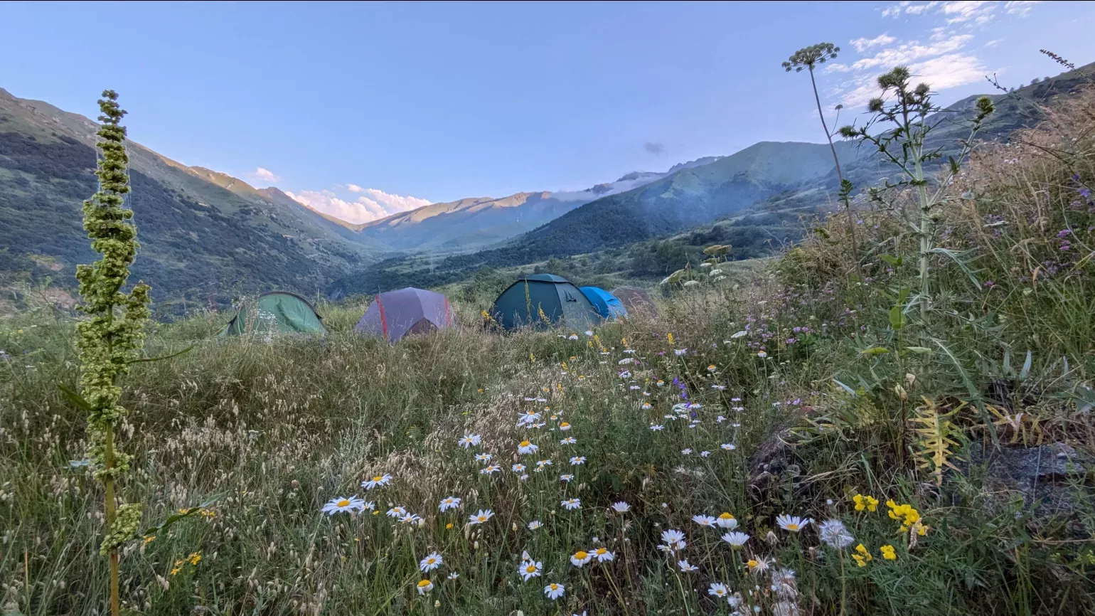 The team's field camp in a subalpine meadow in Armenia, Lydia Shellien-Walker © RBG Kew A wide valley filled with meadow flowers