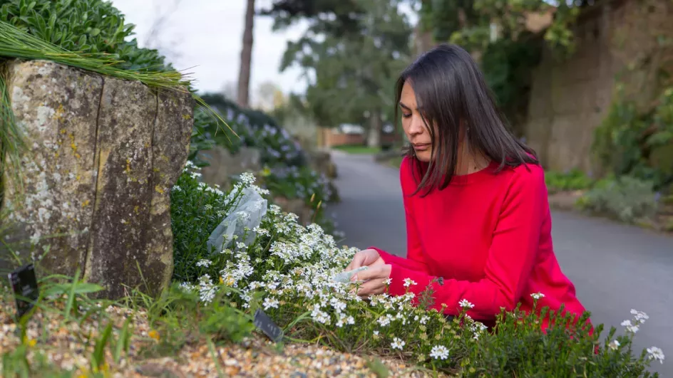 Researcher putting bags over plants. © RBG Kew
