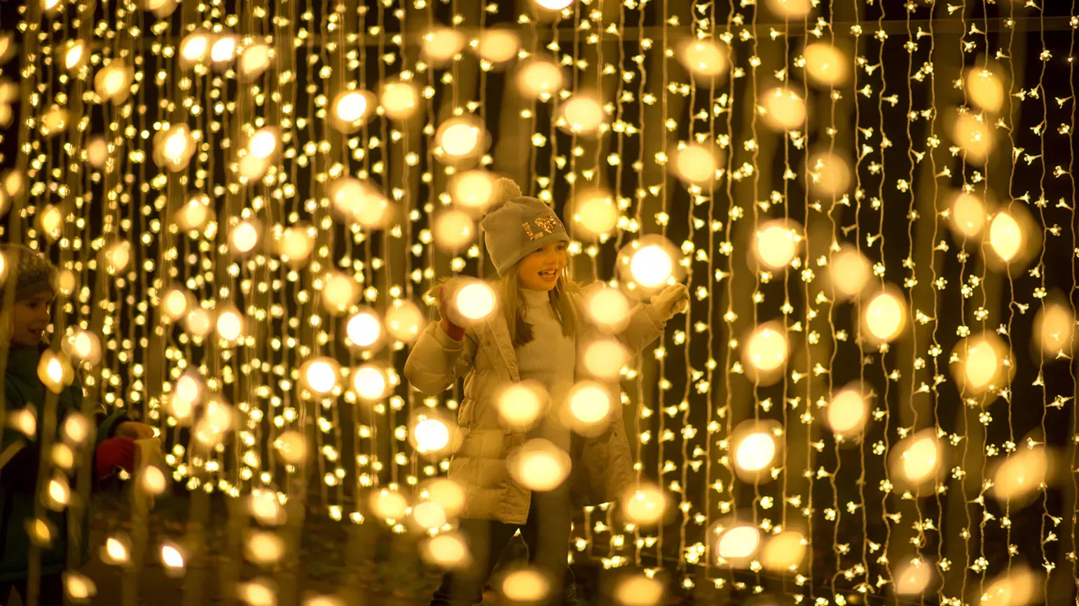 Christmas at Kew