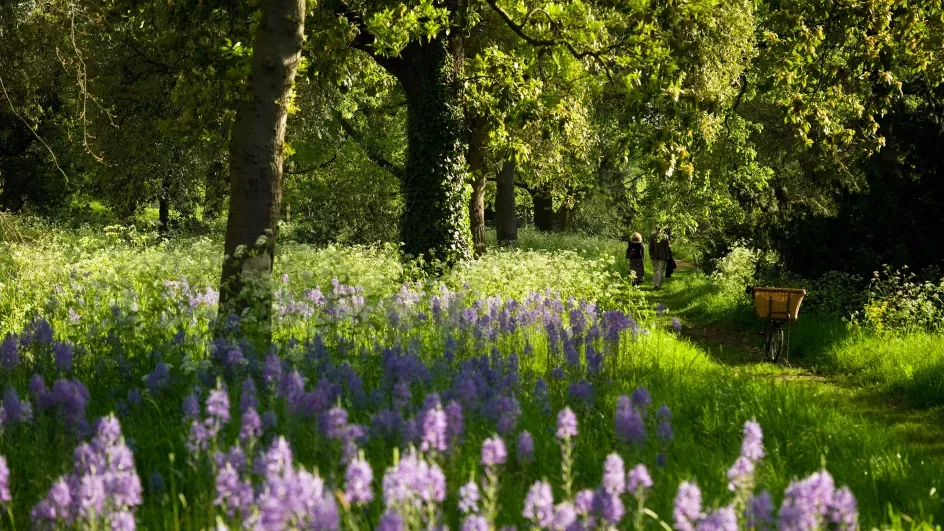Riverside walk in the Arboretum © RBG Kew