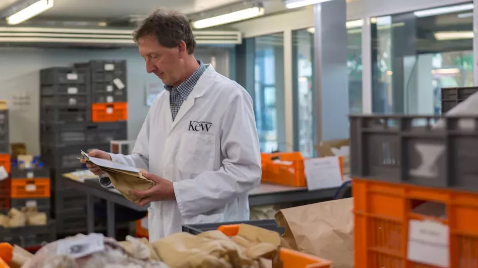 MSB seed room © RBG Kew.
