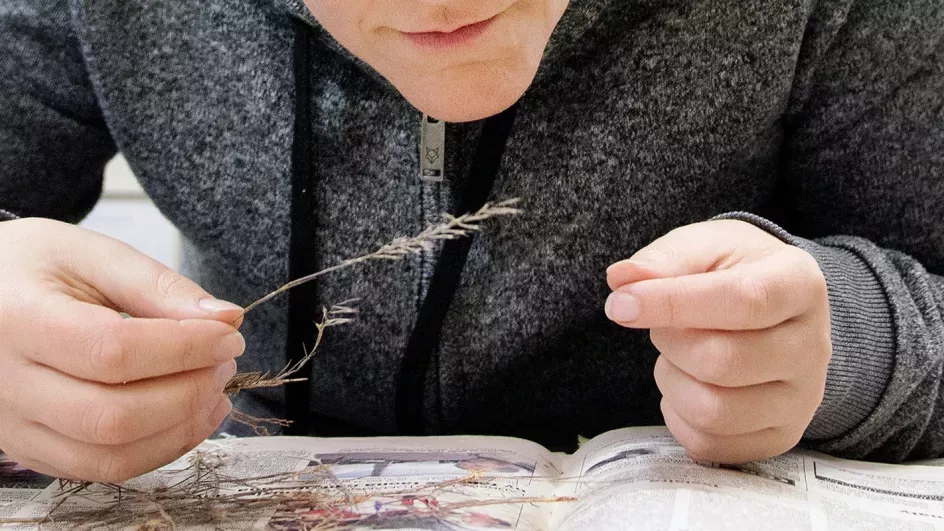 Scientist inspecting a specimen