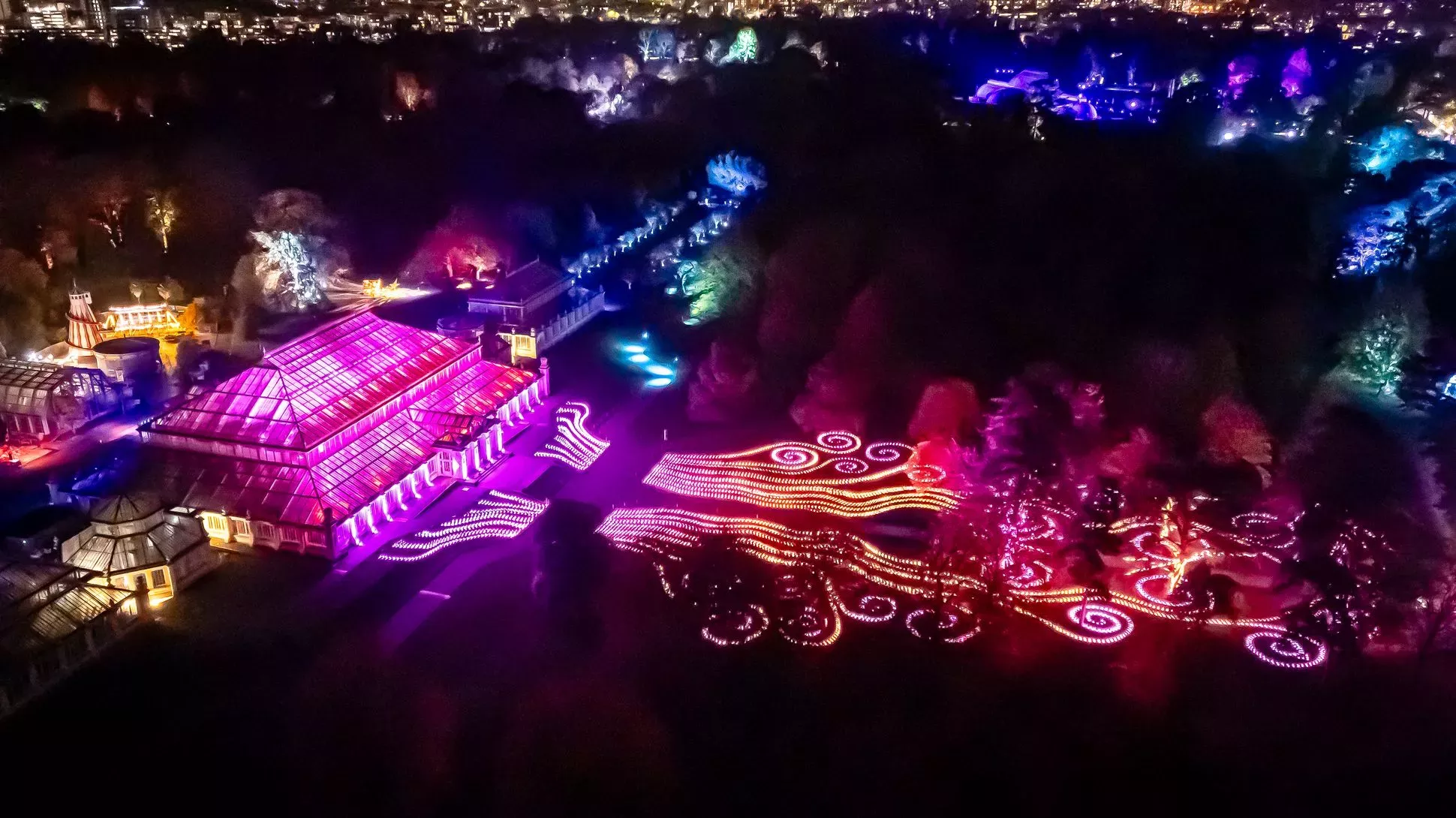 Sea of light at the Temperate House © Ollie Dixon The Temperate House at Christmas at Kew, illuminated in pink lights with long waves of lights curling from the entrance