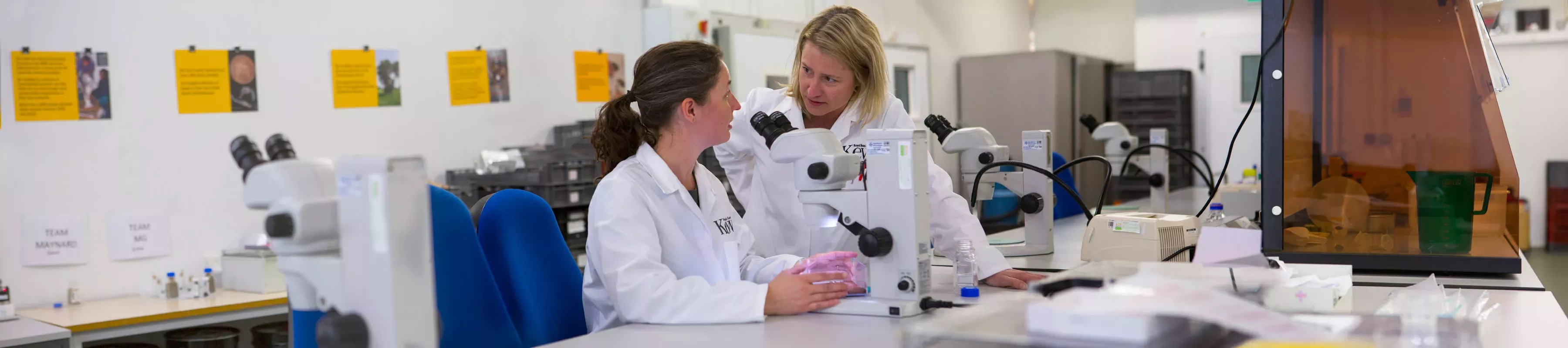 Researchers in the MSB © RBG Kew. Two researchers discussing around a microscope.