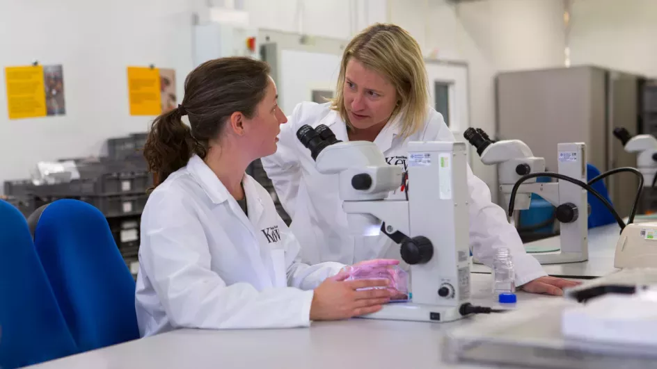 Researchers in the MSB © RBG Kew.