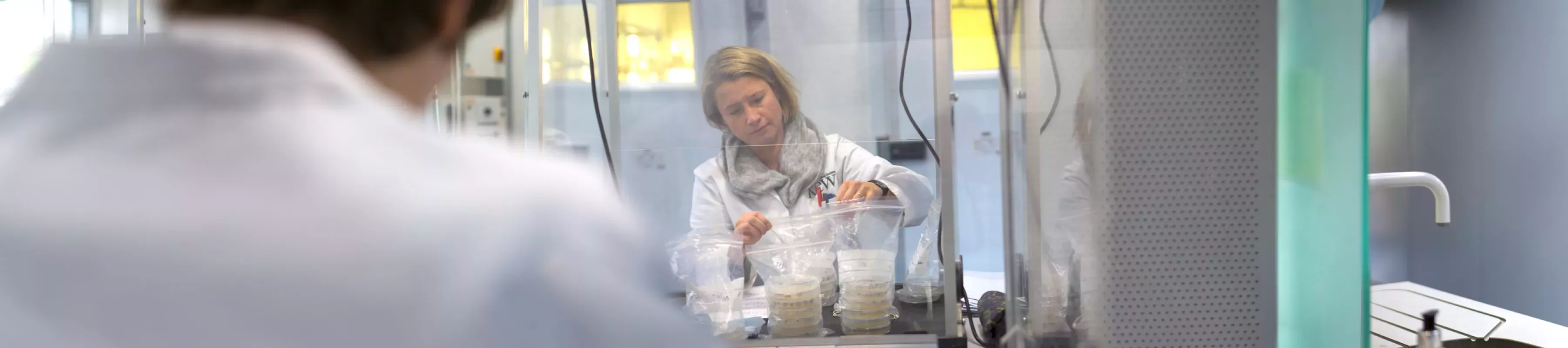 Kew's seed laboratories © RBG Kew. Researchers in white coats in the seed labs with bags of agar plates