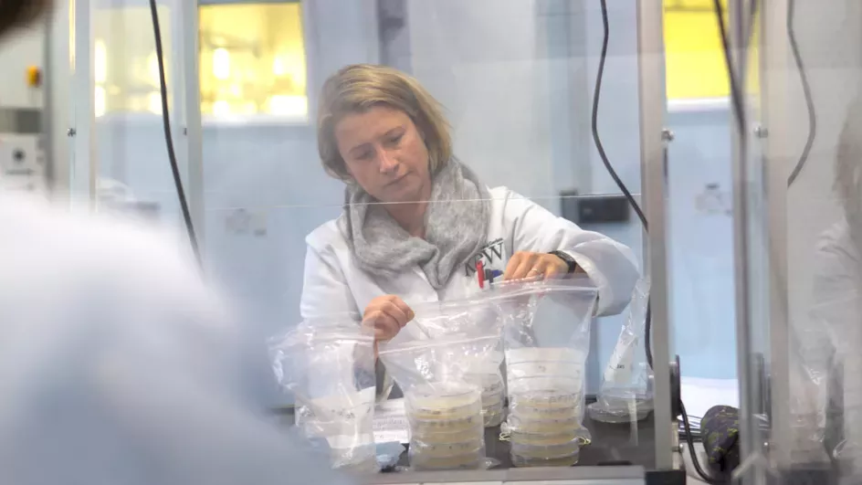 Kew's seed laboratories © RBG Kew.