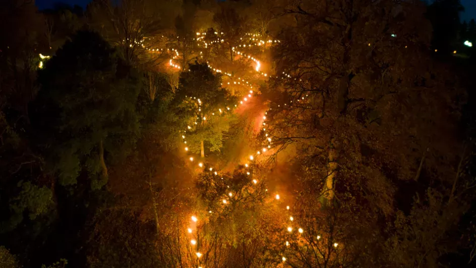 Drone shot of Glow Wild pathways