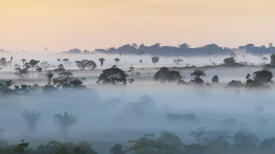 State of the World's Plants 2016, RBG Kew