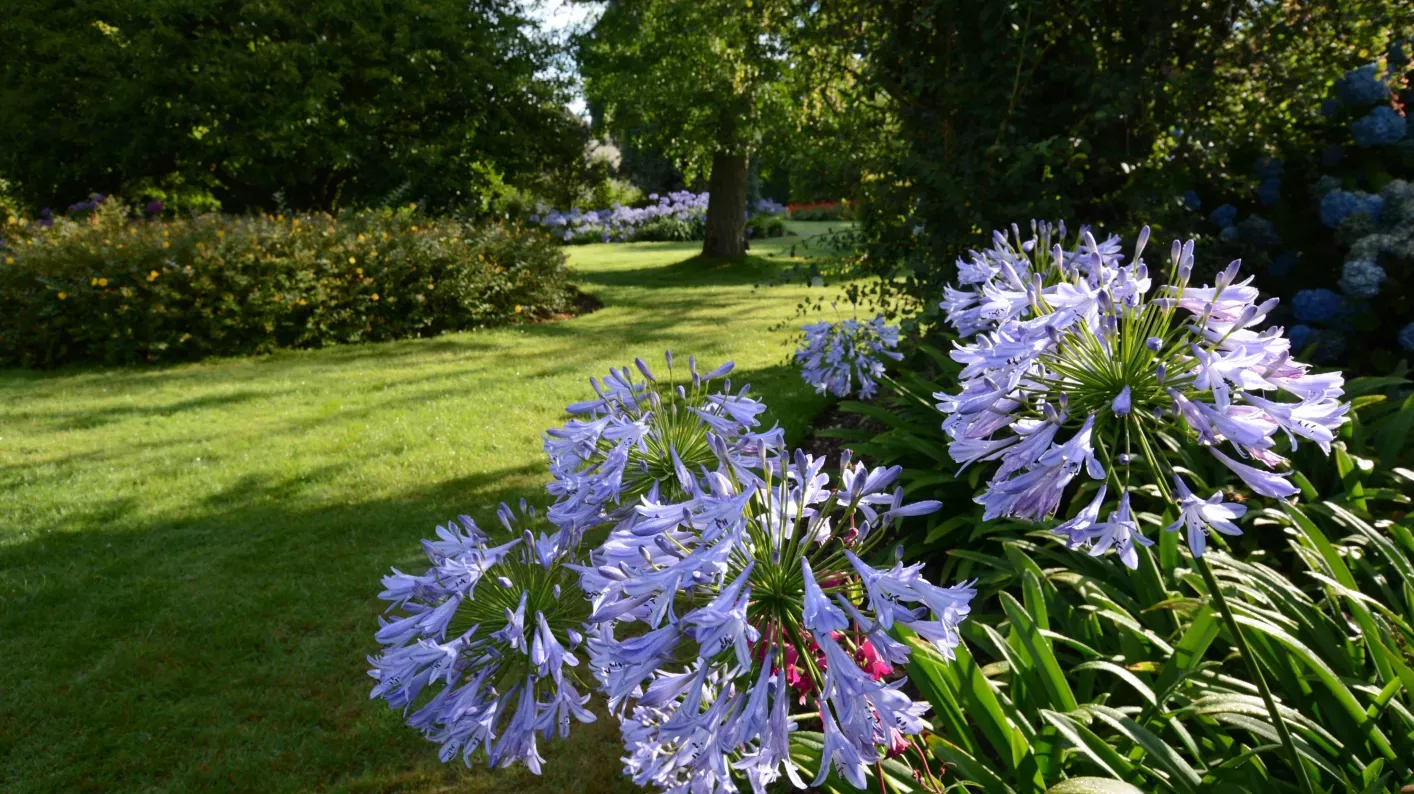 Southern Hemisphere Garden, Wakehurst, Chris Clennett