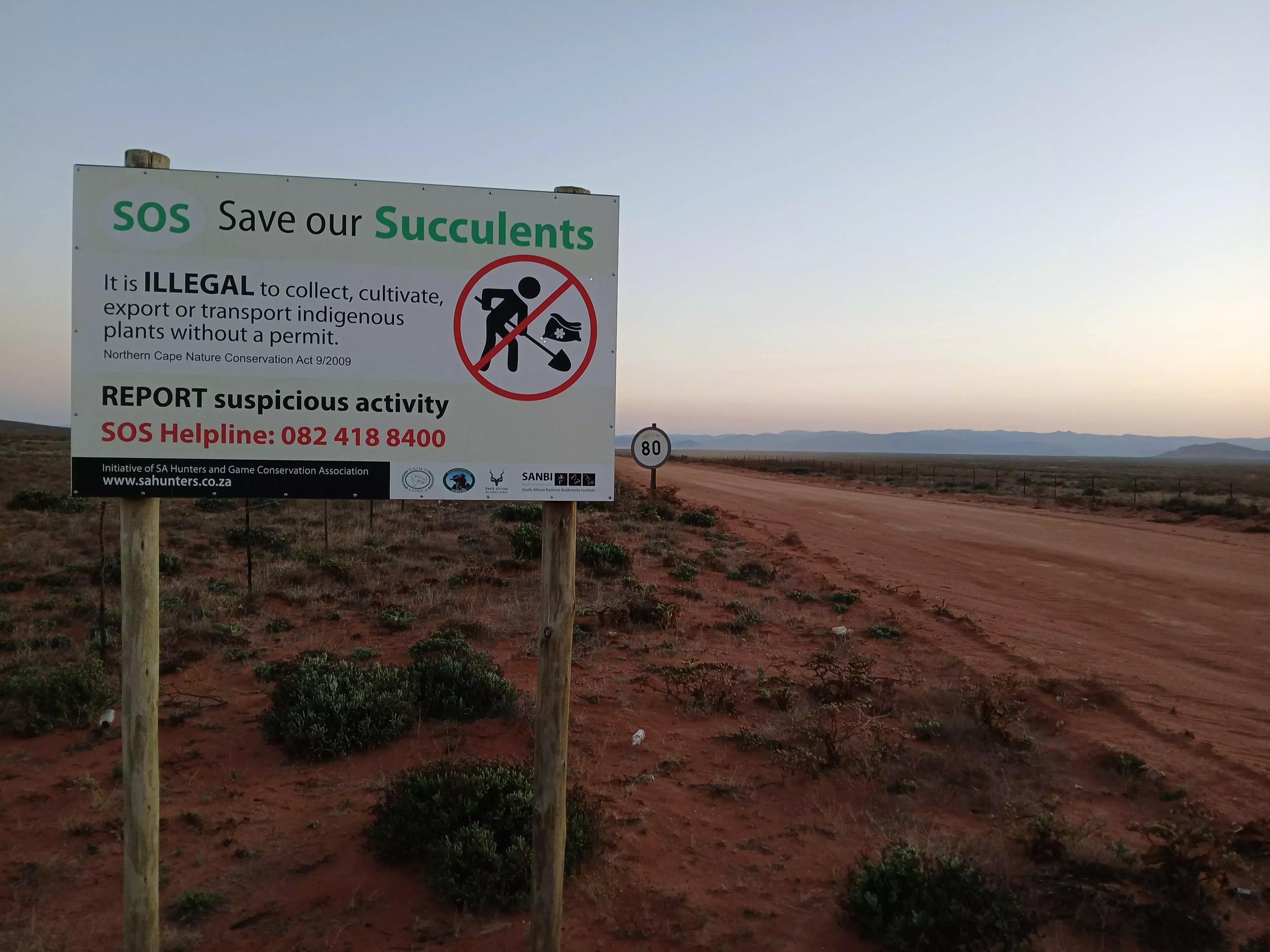 Succulent poaching information sign © SANBI A signpost next to a red dirt desert road, reading "SOS, Save our succulents. It is illegal to collect, cultivate, export or transport indigenous plants without a permit"