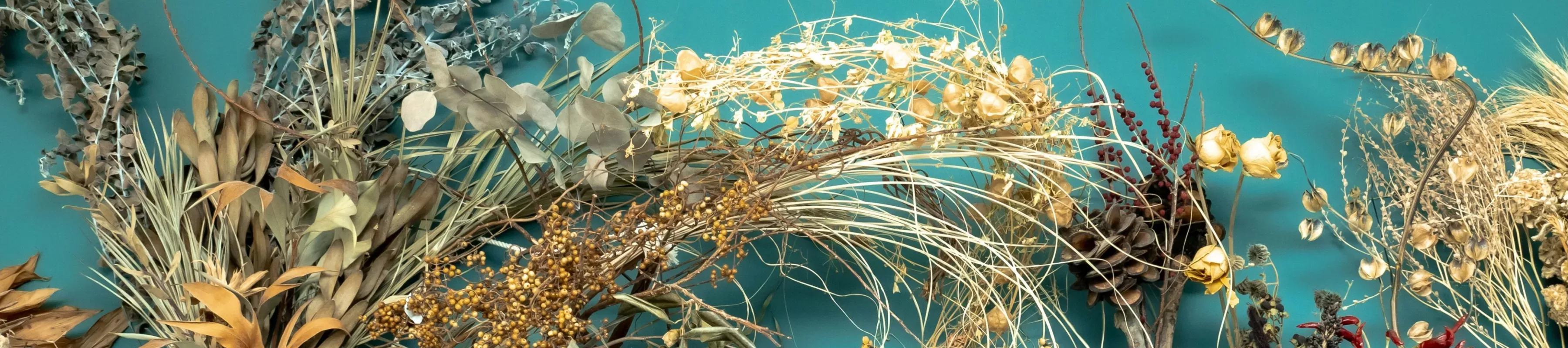 Photo by TERRA on Unsplash A collection of dried flowers and leaves arranged artistically on a blue background
