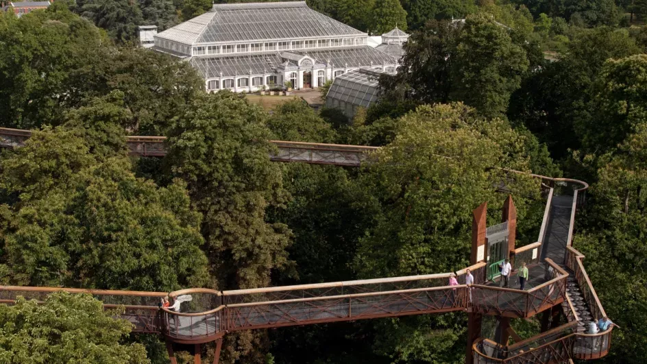 Temperate House and the Treetop Walkway