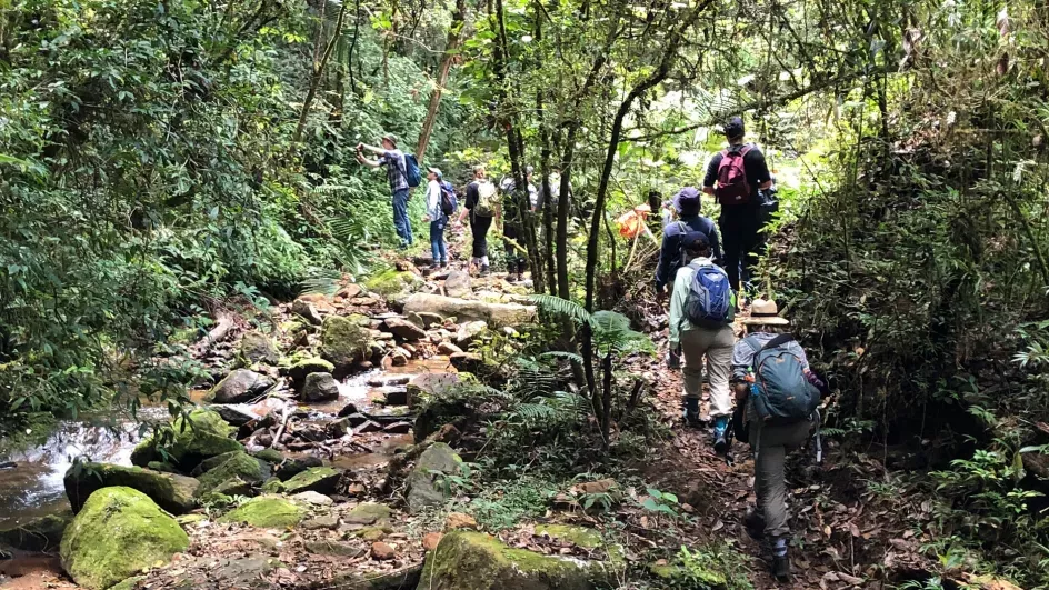 Trekking through the forests of Madagascar © Richard Gianfrancesco/RBG Kew.