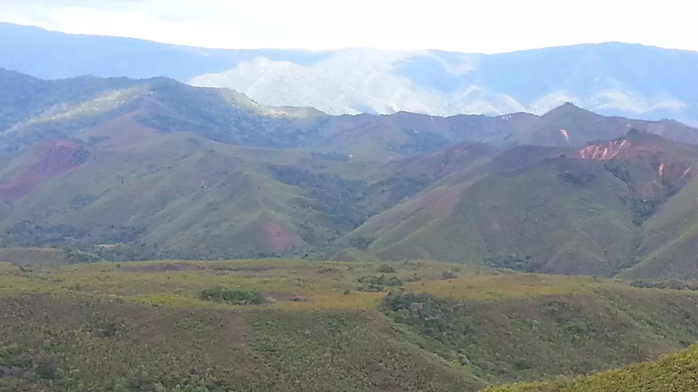 Tsaratanana Strict Nature Reserve, Madagascar. (C) RBG Kew.