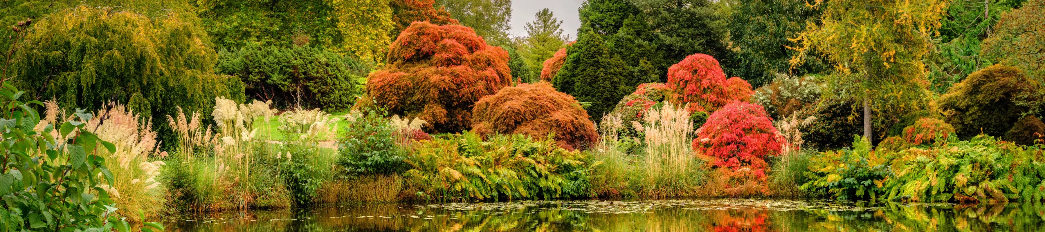 Mansion Pond in autumn colour Mansion Pond in autumn colour