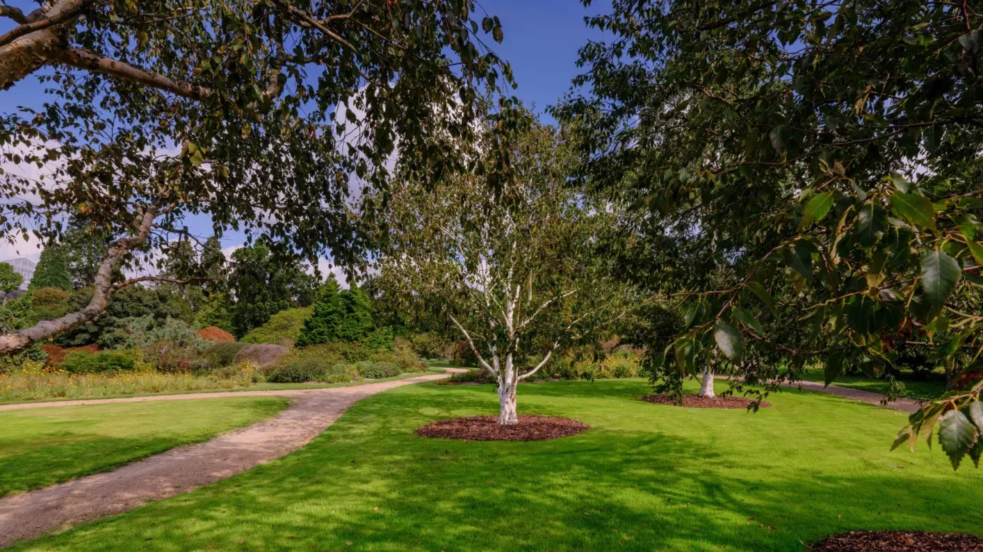 Wakehurst's Asian Heath Garden, Jim Holden © RBG Kew