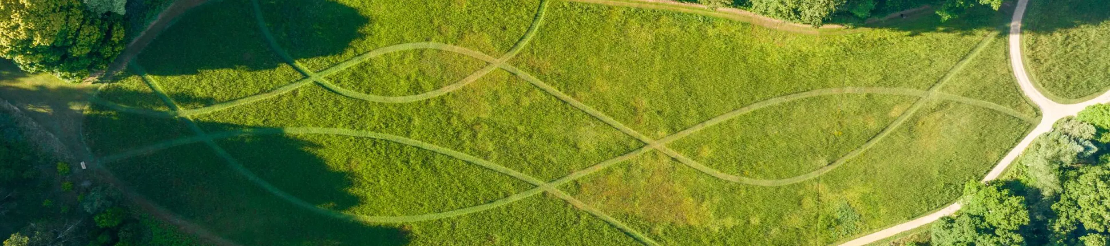 Bloomers Valley, Visual Air © RBG Kew An aerial shot of a large open field surrounded by woodland, with patterns mowed into it