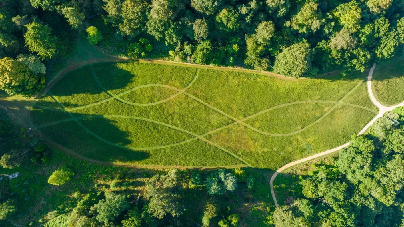Bloomers Valley, Visual Air © RBG Kew