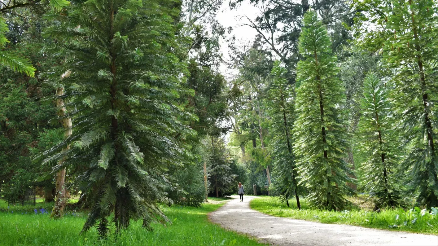Coates Wood © RBG Kew